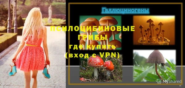 амф Михайловка