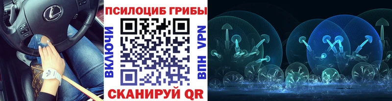 Галлюциногенные грибы мицелий  Купить где  Белокуриха 